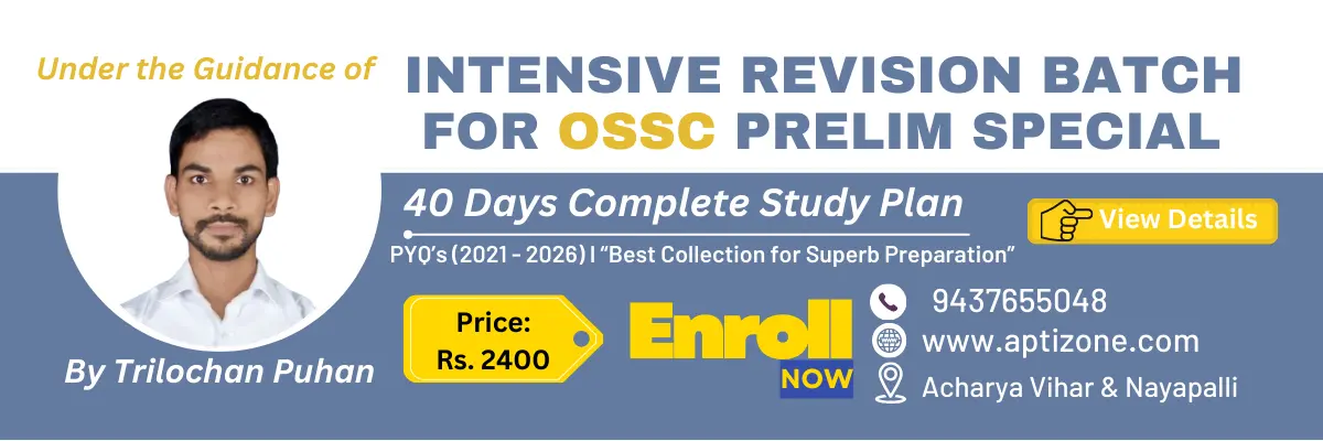 by trSamira Hadid (1)